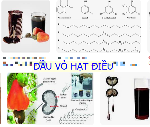 Dầu vỏ hạt điều